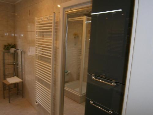 baño con ducha a ras de suelo y puerta de cristal en Der Frühe Vogel en Plaue