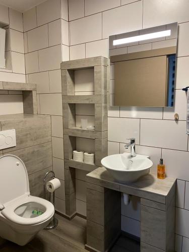 La salle de bains est pourvue de toilettes, d'un lavabo et d'un miroir. dans l'établissement Plein soleil, à Martigny-Ville