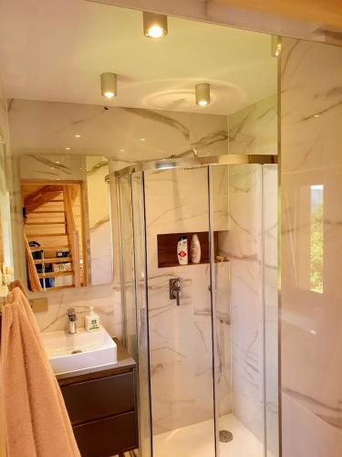 a bathroom with a shower and a sink at Domek Góralski Piwowarówka in Piwniczna-Zdrój