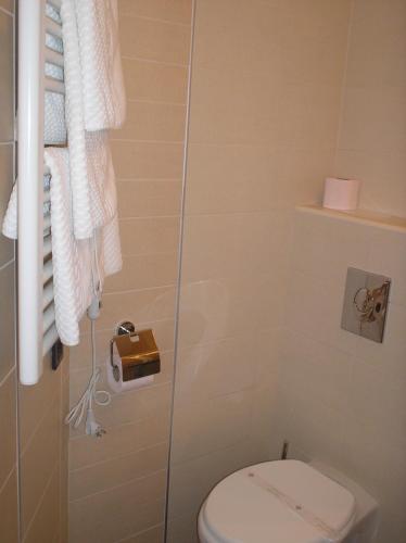 a bathroom with a toilet and a shower at Hotel Fontana in Buzet