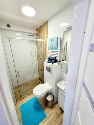 a bathroom with a shower and a toilet and a sink at Apartamenty Dolce Vita in Ostrowo