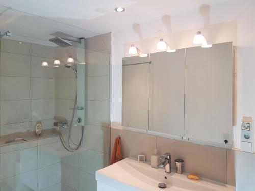 ein Bad mit einem Waschbecken, einer Dusche und einem Spiegel in der Unterkunft Zimmer 2 nahe Thoraxklinik - Bad und Küche geteilt in Heidelberg