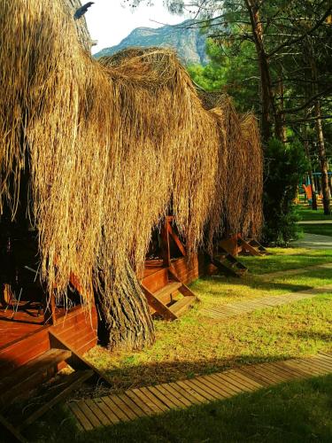 Gallery image of Green Pine Bungalows & Beach Luxury Concept in Oludeniz