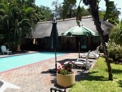 an umbrella and chairs next to a swimming pool at Sunbird Lodge in Phalaborwa