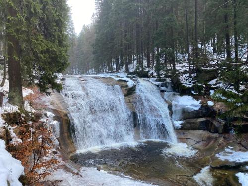 a waterfall in a forest with snow on the ground at Apartmány 629 in Harrachov