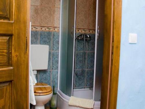 a bathroom with a toilet and a shower at Stara Vodenica in Klanjec