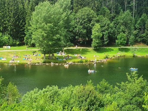 a group of people in a park near a lake at Große Ferienwohnung am Badesee in Erzgrube