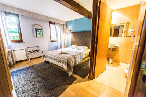 Gallery image of H&ocirc;tel Au Lion in Ribeauvill&eacute;