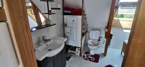 Baño pequeño con aseo y lavamanos en Le Repos des Crins Noirs, en Esson