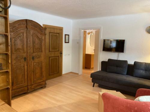 a living room with a couch and a tv at Appartementhaus Grocke in Wagrain