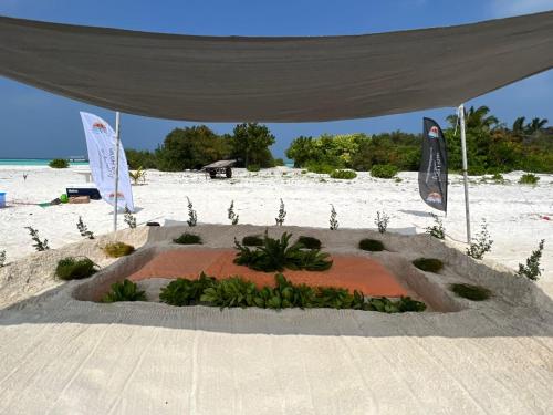 a small garden in the middle of the beach at RISING SUN BEACH VIEW in Thinadhoo