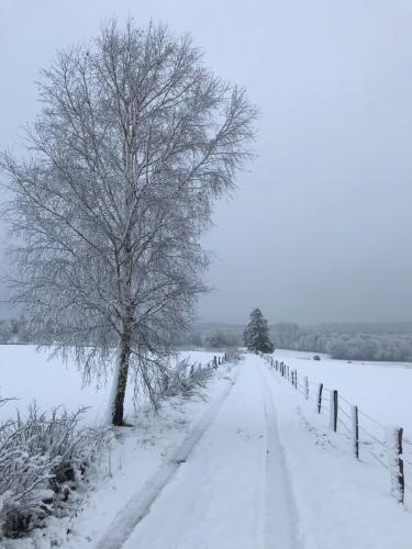 Gîte du Cheval Blanc à Houmont im Winter