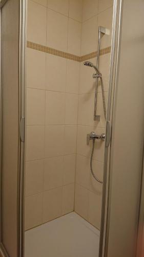 eine Dusche mit Glastür im Bad in der Unterkunft Ferienwohnung zur Silbertanne in Ilsenburg