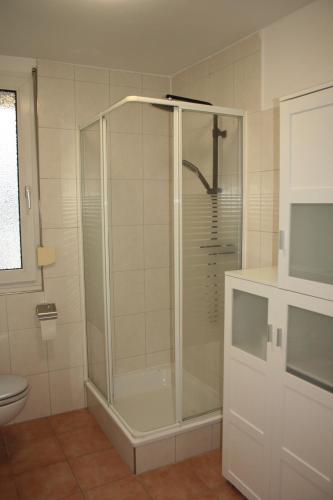 bagno con doccia in vetro e servizi igienici. di Diamanthaus 2 Koblenz a Coblenza