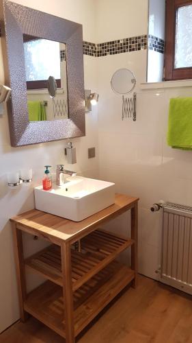 a bathroom with a sink and a mirror at CariSSA Ferienwohnung - mit THERMEplus in Bad Bevensen