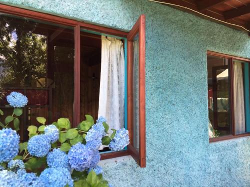 a window of a house with blue hydrangeas at Hostel Raíz in Pucón
