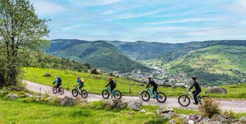 a group of people riding bikes down a mountain road at Relais des Vosges in Husseren-Wesserling
