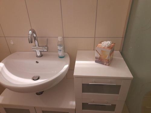 a bathroom with a sink and a box of tissues at Idyllic Bungalow in Pepelow with Garden near Seabeach in Pepelow