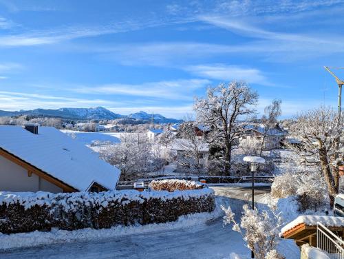 a snow covered yard with trees and a house at Südflügel im Chiemgau in Traunstein