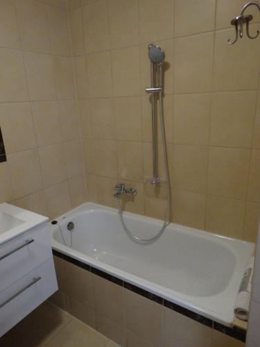 W łazience znajduje się wanna z prysznicem. w obiekcie Apartament Zielony Taras w Krakowie