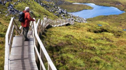 a person walking on a wooden boardwalk on a hill at Toddys Cottage & Stables in Cavan