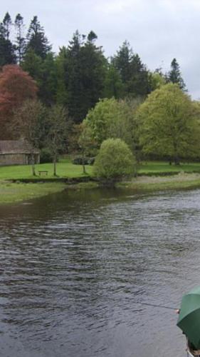 a body of water with trees in the background at Toddys Cottage & Stables in Cavan