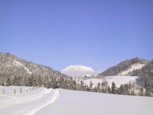 a snow covered mountain in the middle of a field at Stangl - Hof in Bad Aussee