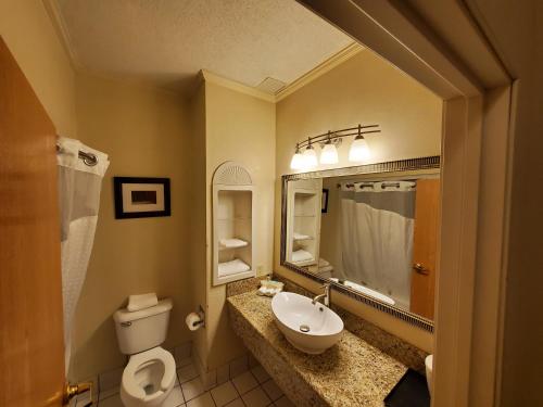 a bathroom with a sink and a toilet and a mirror at The Arc Hotel in Fort Smith