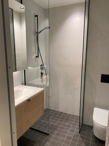 bagno con doccia, lavandino e servizi igienici di Vanalinna apartment a Haapsalu