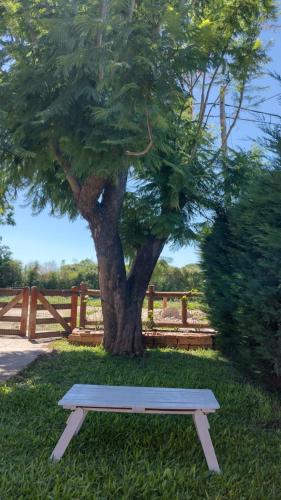 Eljacaranda_ – Photos 5