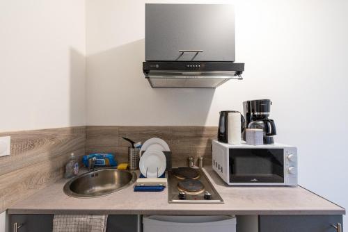 a kitchen counter with a sink and a microwave at Studianzin in Anzin