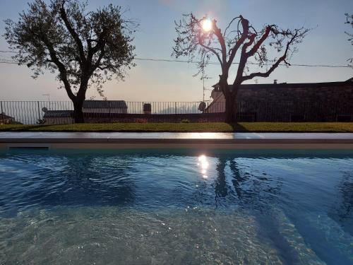 a pool of water with two trees in the background at Il cantuccio sul Garda - Relais di charme in Cavaion Veronese