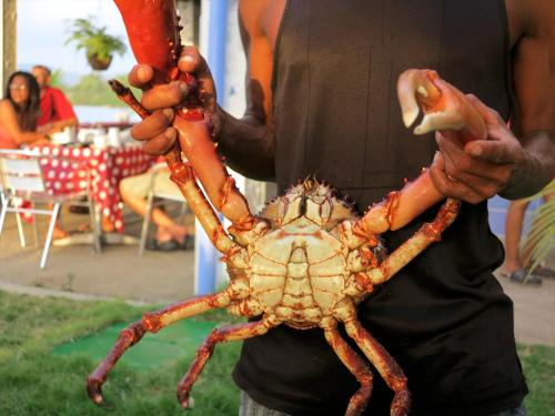a man holding a large crab with a sausage at Casa Congo & Casa Rayo Verde - Restaurante - Galeria de arte in Portobelo