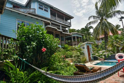 a hammock in front of a house with a swimming pool at Mariposa Lodge in West End
