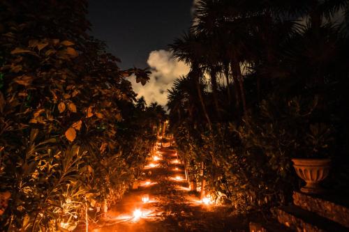 a garden with lights on a road at night at Playa Esperanza Tulum in Tulum