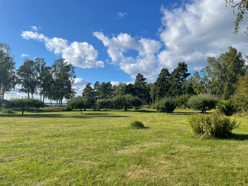 a field of grass with trees in the background at Relaxing Lake Oasis with Jacuzzi - Amazing view & Private Pier in Stockholm