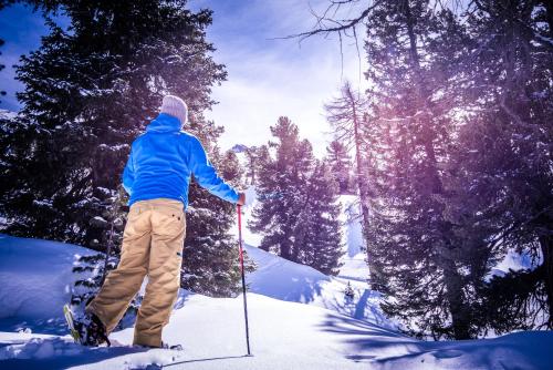 a person standing on skis in the snow at Appartements Hartlbauer in Dorfgastein