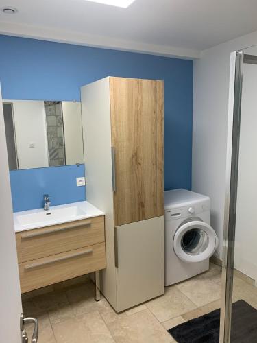 une salle de bain avec une machine à laver et un lavabo dans l'établissement Maison de charme dans un Hameau Provençal, à Les Mées