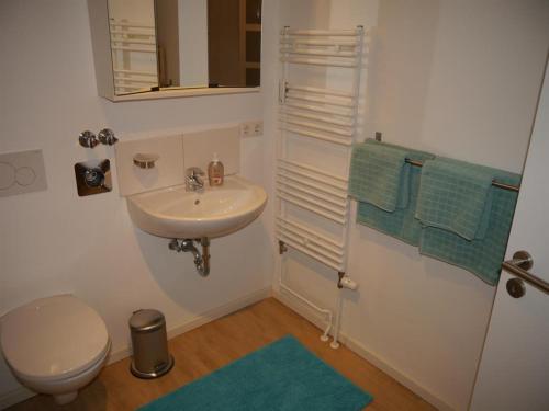 a bathroom with a sink and a toilet and a mirror at Fördeblick-Wassersleben in Harrislee
