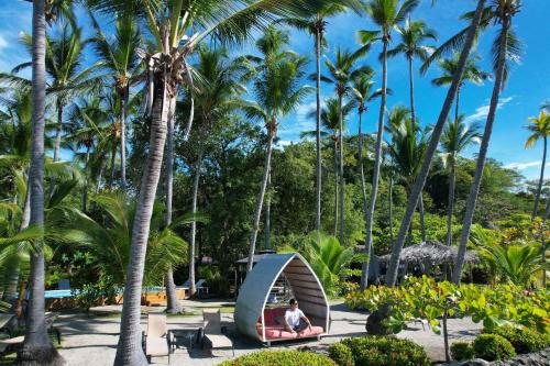 une personne assise dans une tente dans un parc planté de palmiers dans l'établissement Isla Chiquita Glamping Hotel, à Puntarenas