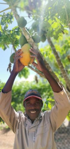 a man is holding a fruit on a tree at Etotongwe Lodge in Outjo
