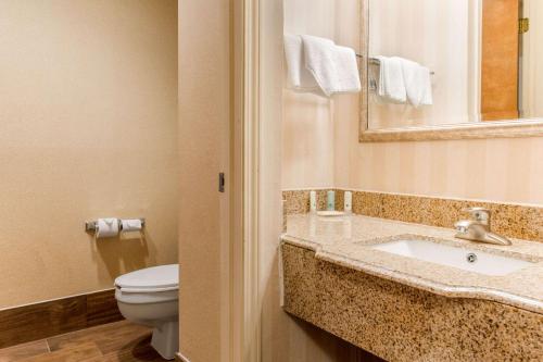 A bathroom at Quality Inn & Suites Miamisburg - Dayton South