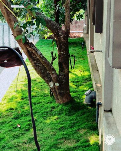 a hose hooked up to a tree next to a building at Royal residency in Tindummal