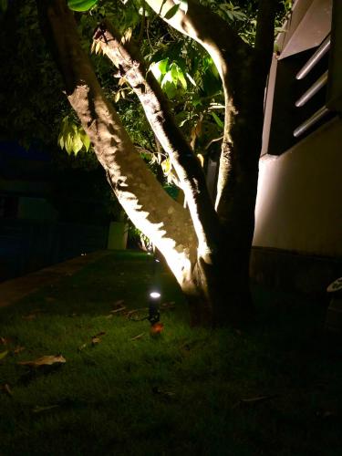 a tree in the grass with a light next to it at Royal residency in Tindummal