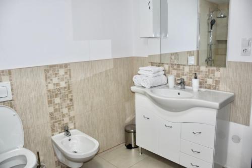 a bathroom with a white sink and a toilet at JANINE GARDEN in Braşov