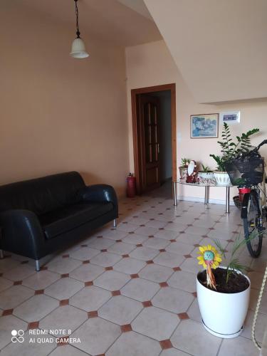 a living room with a couch and a flower in a pot at Διαμέρισμα με κήπο in Orestiada