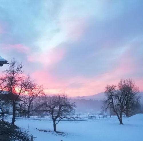 a field with trees in the snow at sunset at Fewo Fabiella mit Balkon in Millstatt