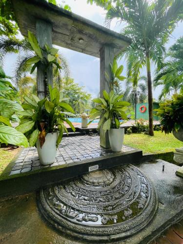 two potted plants sitting on a table in a garden at Tishan Holiday Resort in Polonnaruwa