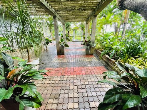 a brick walkway in a greenhouse with plants at Tishan Holiday Resort in Polonnaruwa
