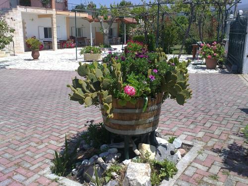 Κήπος έξω από το my Green Villa